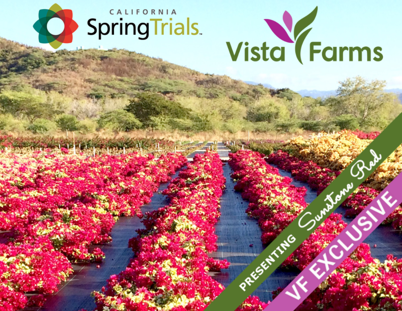 California Spring Trials - Vista Farms