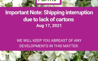 Shipping interruption due to lack of cartons