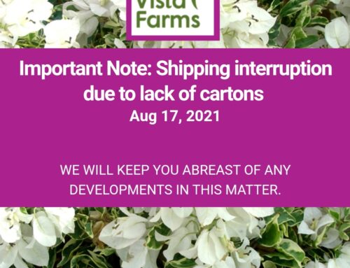 Important Note: Shipping Interruption